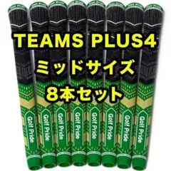 Item thumbnail for item 86dc5713-da9a-44fe-a763-f16ef7a01e24