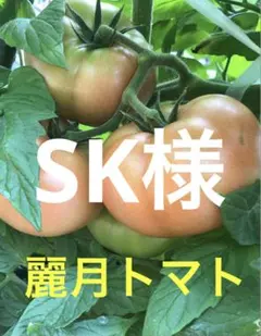SK様専用
