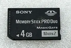 Item thumbnail for item 838aacf3-581a-4b04-868c-303ebd5ce80c