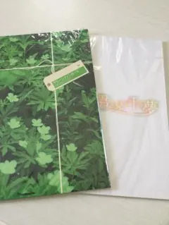 嵐 相葉  雅紀 舞台パンフレット2冊セット