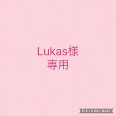 Lucas 様　専用
