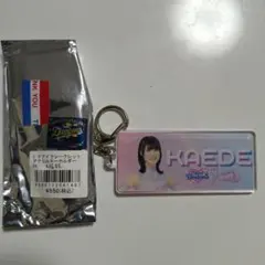 Item thumbnail for item fe944338-84a8-4b03-9abb-03091e90908d