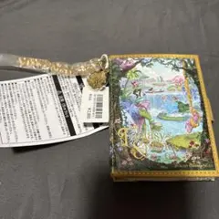 東京ディズニーシー ファンタジースプリングス　定期入れ　ファンダフル