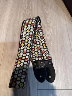 Item thumbnail for item 9f1d3d5e-2e56-4959-8c87-ee07b3144bd7