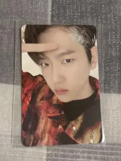 EXO DON'T FIGHT THE FEELING トレカ ベクヒョン