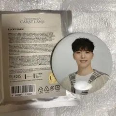 seventeen ディノ　缶バッジ　ラキドロ　カラットランド