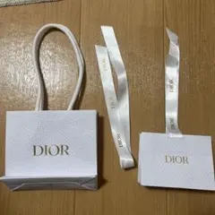 Dior ギフト袋 紙袋2点セット　リボン付き