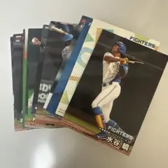 日本ハム 20枚セット