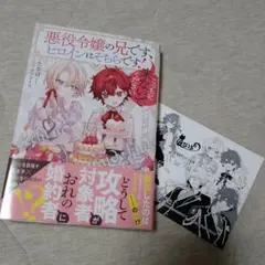 悪役令嬢の兄です、ヒロインはそちらです！