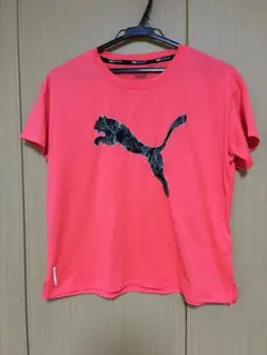 PUMA プーマ 半袖Tシャツ DRYCELL M used品 ピンク