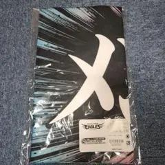 楽天イーグルス 2024年ヒトコトタオル【メンタル強ッ】