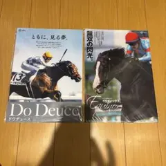 2025年最新】ヒーロー列伝 クリアファイル ドウデュースの人気