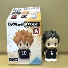 澤村大地 ハイキュー‼︎ ぱぺマス!! パベットマスコット