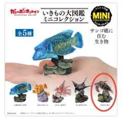 いきものの大図鑑ミニコレクション 『サンゴ礁に住む生き物』アオウミガメ3体
