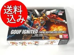 2025年最新】hg グフイグナイテッドの人気アイテム - メルカリ