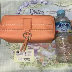 ピッグスキンバッグ