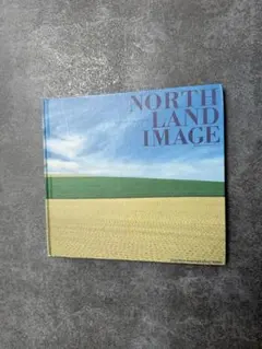 Item thumbnail for item be117f2e-5df7-4785-adbb-6818491b60e5