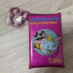 東京ディズニーリゾート ミッキーミニー　ケース