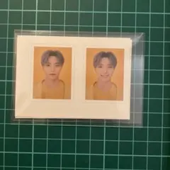 ディノ 2022 シーグリ トレカ IDフォト