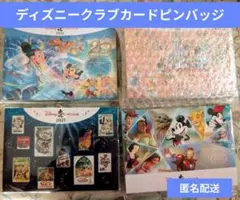 ディズニーカードクラブ ピンバッジセット