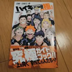 2025年最新】ファイナルガイドブック排球極の人気アイテム - メルカリ