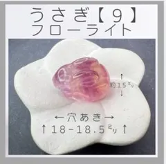 Item thumbnail for item eedca01e-4348-4292-8a1c-6a343f76ec36