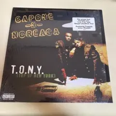 Item thumbnail for item 15234f09-6afd-4384-a48d-4a28f65a1828