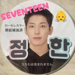 ファンサ　うちわ文字　ジョンハン　SEVENTEEN セブチ