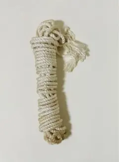 Item thumbnail for item c76ff975-5a23-433d-91f3-2119fb4052e0