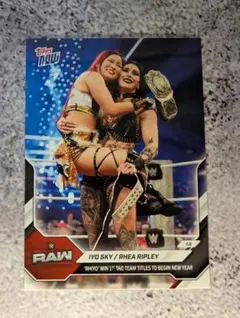 Item thumbnail for item 1e240761-8eb0-4e42-be47-165f962f07b0