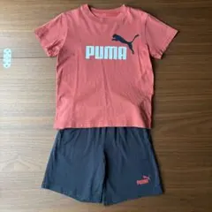 プーマ　Tシャツ　ハーフパンツ　120サイズ　セットアップ　上下セット　PUMA