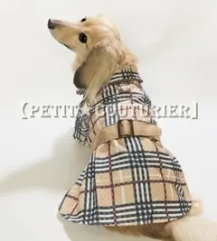 Item thumbnail for item 5b35d527-c50e-4cb4-945f-aa1496b9d555