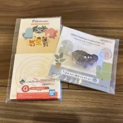 2024 Pokémon Collectionくじと一番くじ２点セット