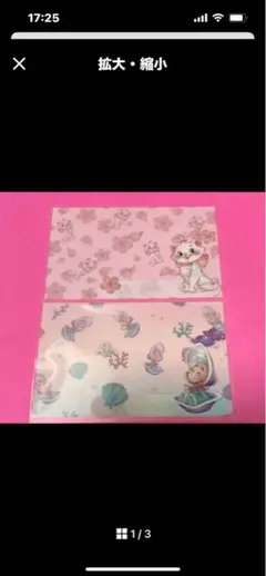 ディズニーストア　2枚　マイナンバーカードケース マリーちゃん　ヤングオイスター