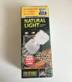 Item thumbnail for item c26b1f11-392b-4fbd-8ff6-5a027a2a7a4f