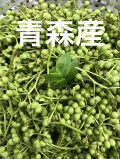 フレッシュコブミカンの葉 こぶみかん バイマクックルーใบมะกรูด 165枚