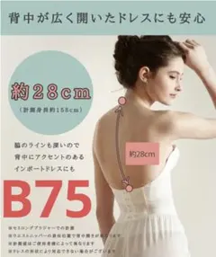 【新品未使用未開封品】プルミエール ブライダルインナー 背中空き28cm B75