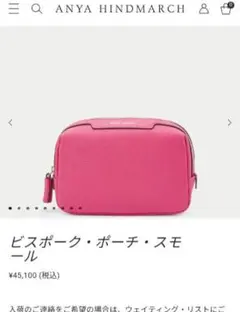 レア アニヤハインドマーチ チェリー ワッペン クリア レザー ポーチ 赤 レア アニヤハインドマーチ チェリー ワッペン クリア レザー ポーチ