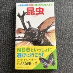 昆虫 新品‼️