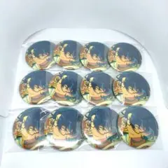 12個セット✨青葉つむぎ コレクション缶バッジ 2025 Jun. idol