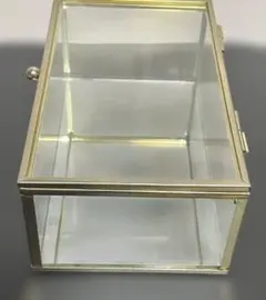 クリアガラス標本箱 20cm x 15cm x 10cm