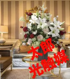 光触媒　人工観葉植物　フェイクグリーン　ウォールグリーン　クイーンアンレースのサムネイル