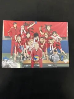 ハイキュー　ゴミ捨て場の決戦　入場者特典　ポスター