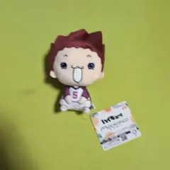 ハイキュー　もちぴこぬいぐるみ　天童覚