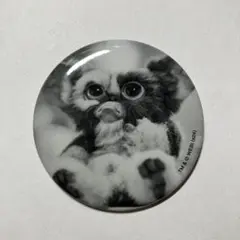 グレムリン　缶バッジ　③