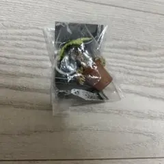 ハリー・ポッターファンタスティック・ビースト マンドレイク　めじるしアクセサリー
