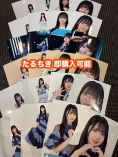 日向坂46 五期生 LIVE 生写真 24種コンプ 坂井新奈 - メルカリ