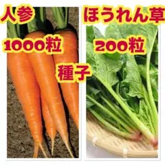 zengguo322515様 リクエスト 3点 まとめ商品