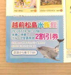 越前松島水族館　割引券　２割引券