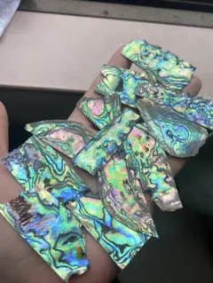 アワビ貝　ニュージーランド産　12枚　螺鈿細工　ハンドメイド　ハンドクラフト